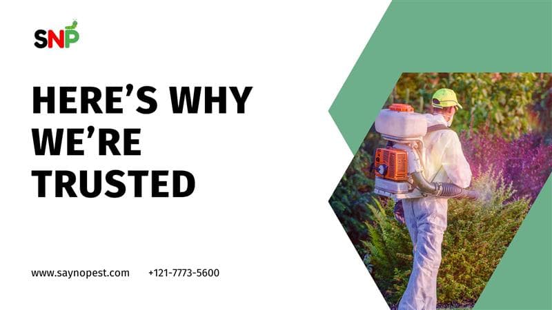 Why Choose Us