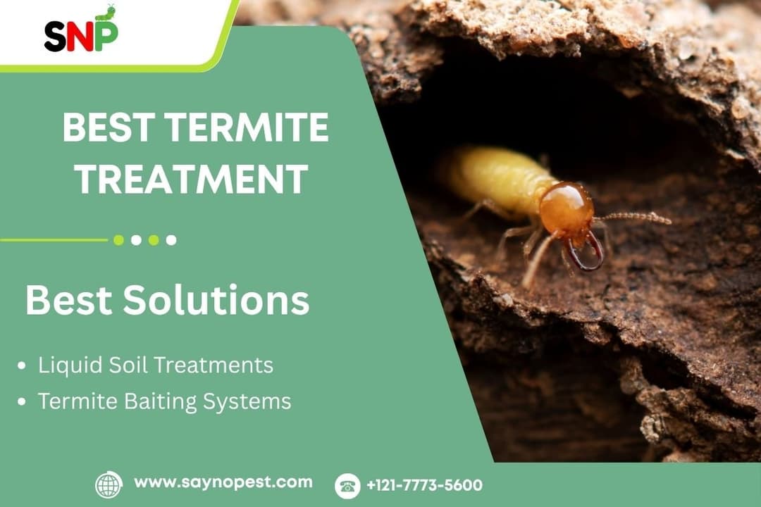 Best Termite Treatment: Your Guide to Protecting Your Home