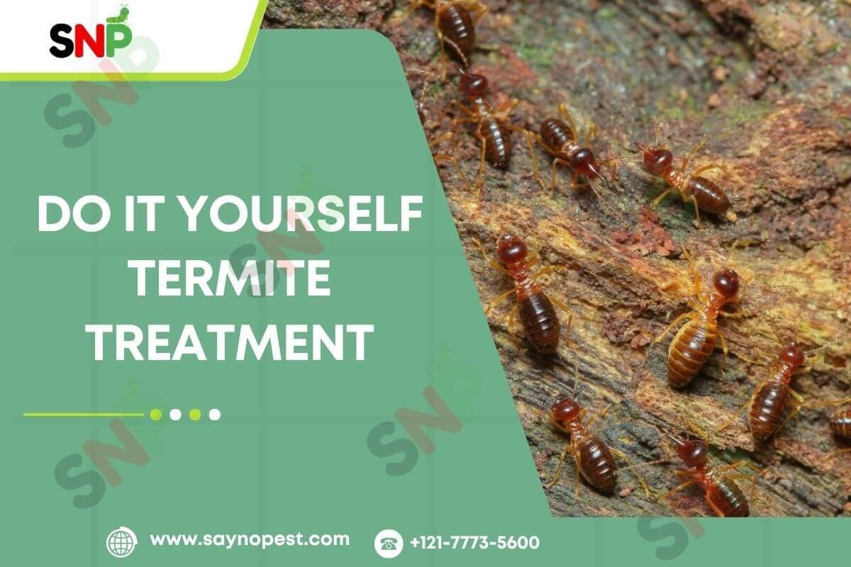 Do It Yourself Termite Treatment: The Complete Guide - Say no pest