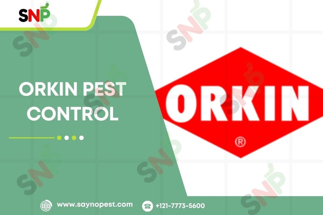 Orkin Pest Control: America&#8217;s Trusted Pest Management Leader