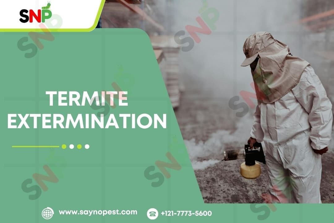 Termite Extermination: Protecting Your Home and Peace of Mind