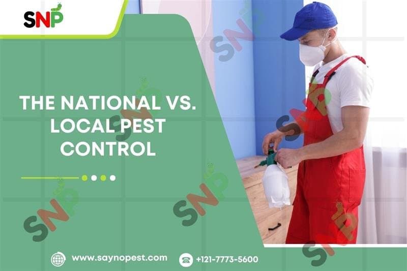 The National vs. Local Pest Control: Which is the Right one to your home? 