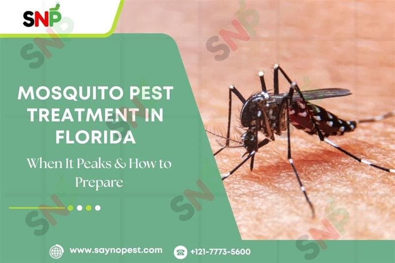 Mosquito Season in Florida: When It Peaks &amp; How to Prepare