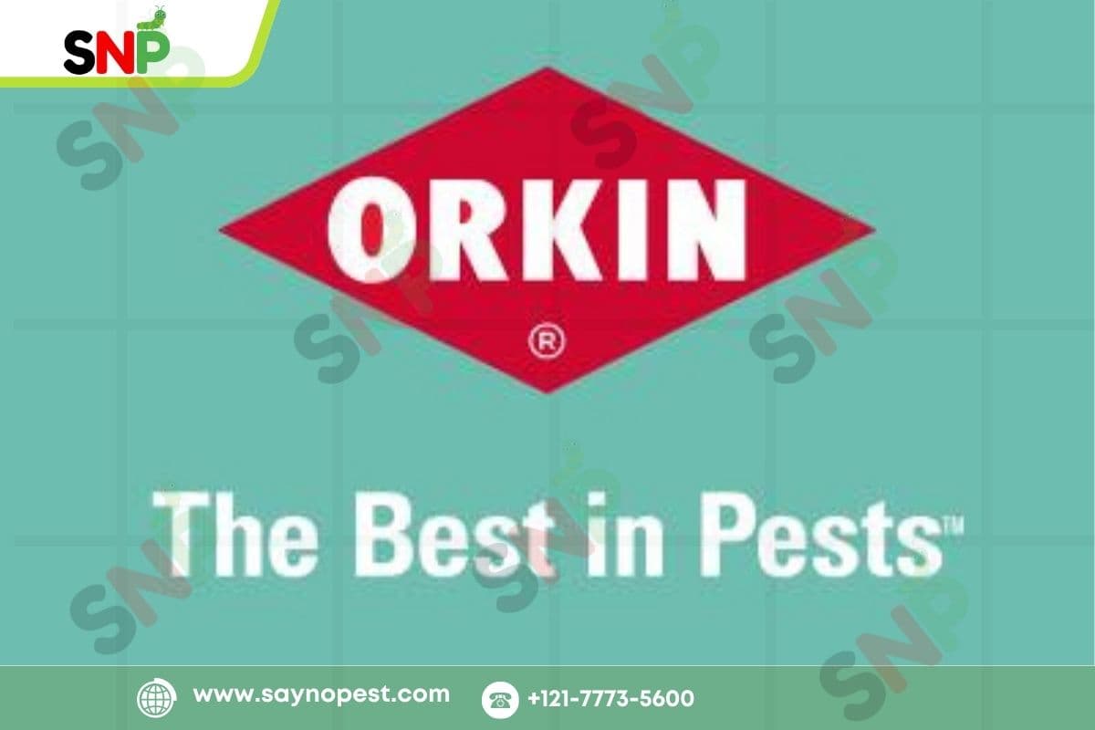 Orkin Termite Treatment Cost & Process | Termite Inspection Orkin