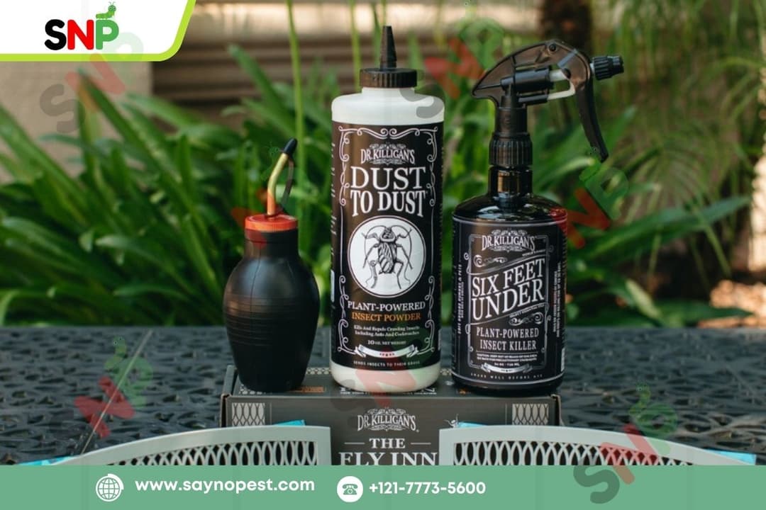 How to Get Rid of Fruit Flies Naturally with Dr. Killigan’s