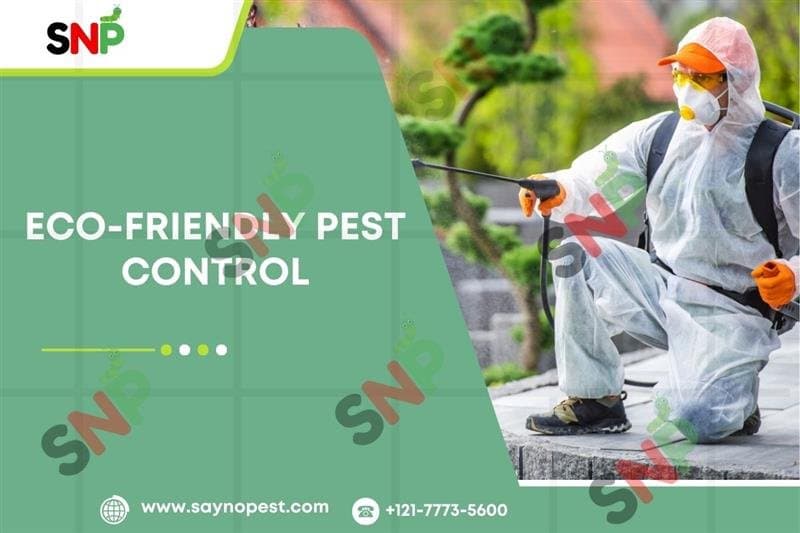 Eco-Friendly Pest Control & Pest Treatments Services