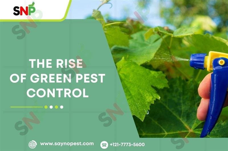 Green Pest Control: Natural Solutions on the Rise