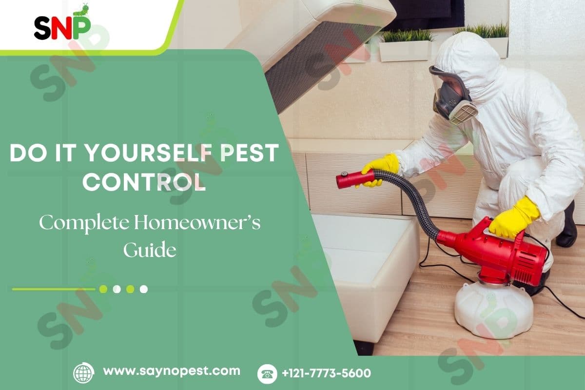 Do It Yourself Pest Control: A Complete Homeowner’s Guide - Say no pest