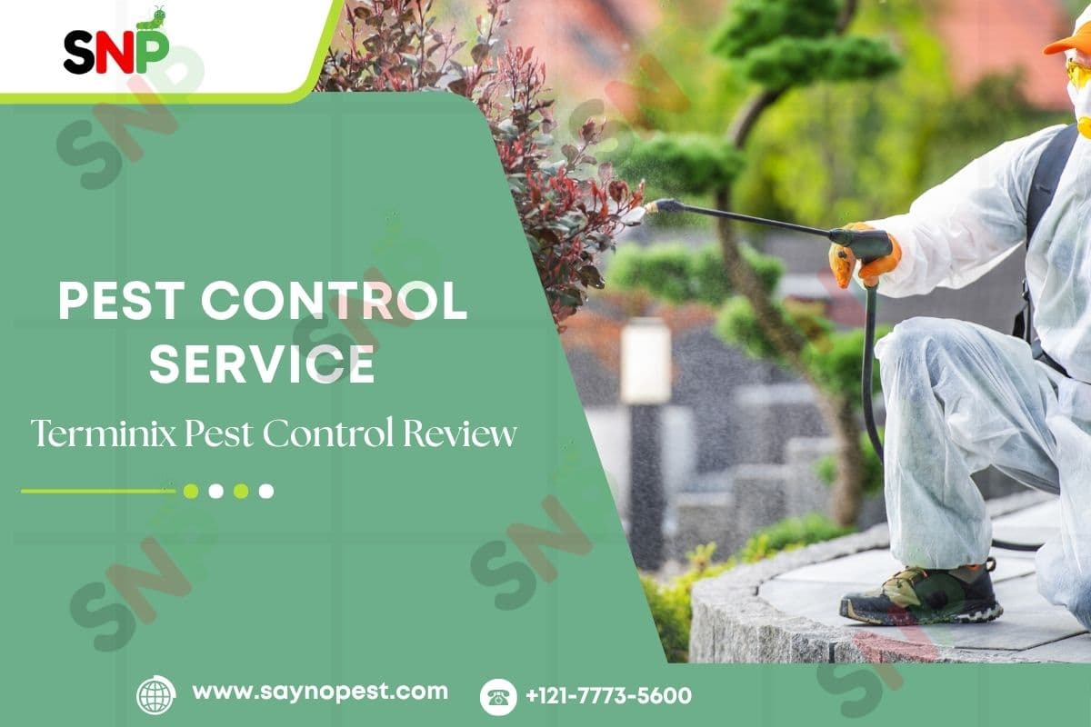 Terminix Reviews | Honest Pest Control Insights