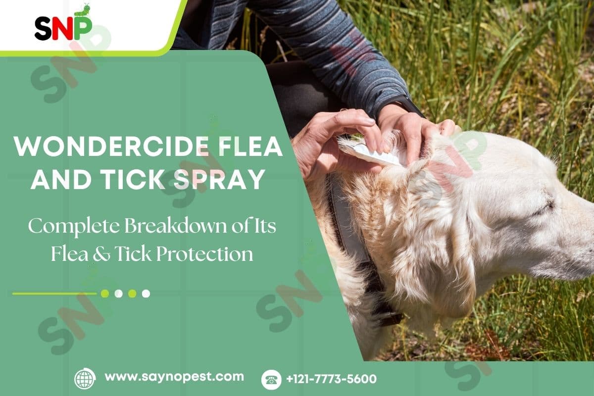 Does Wondercide Flea and Tick Spray Really Work? - Say no pest