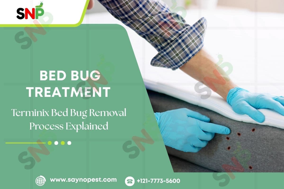 Terminix Bed Bug Removal | Bed Bug Exterminator