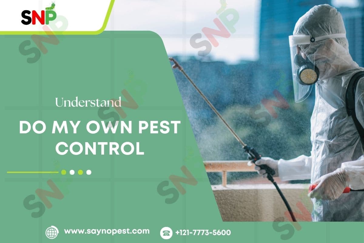 Understand Do My Own Pest Control - Say no pest
