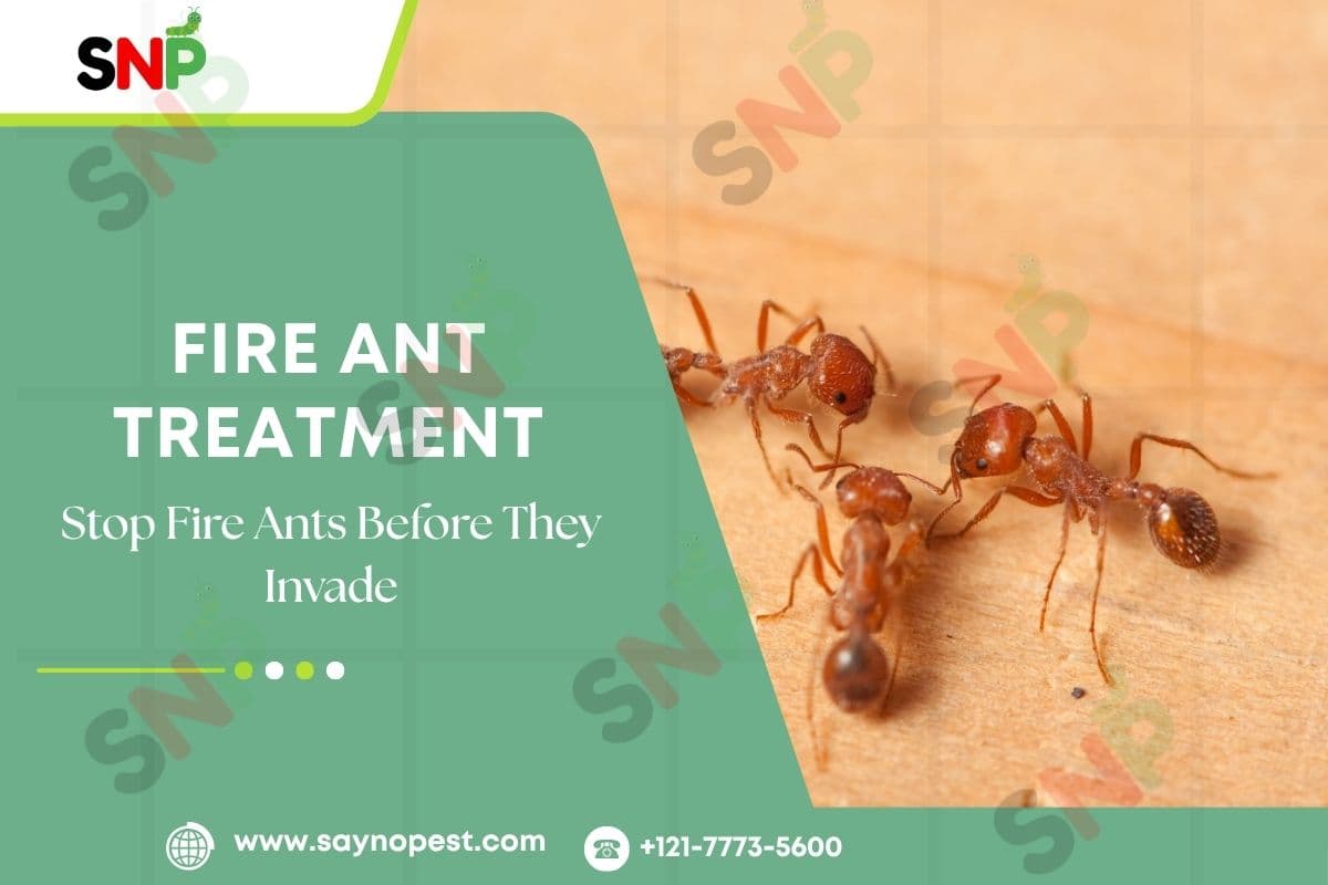 Fall Pest Prevention | Effective Fire Ant Treatment