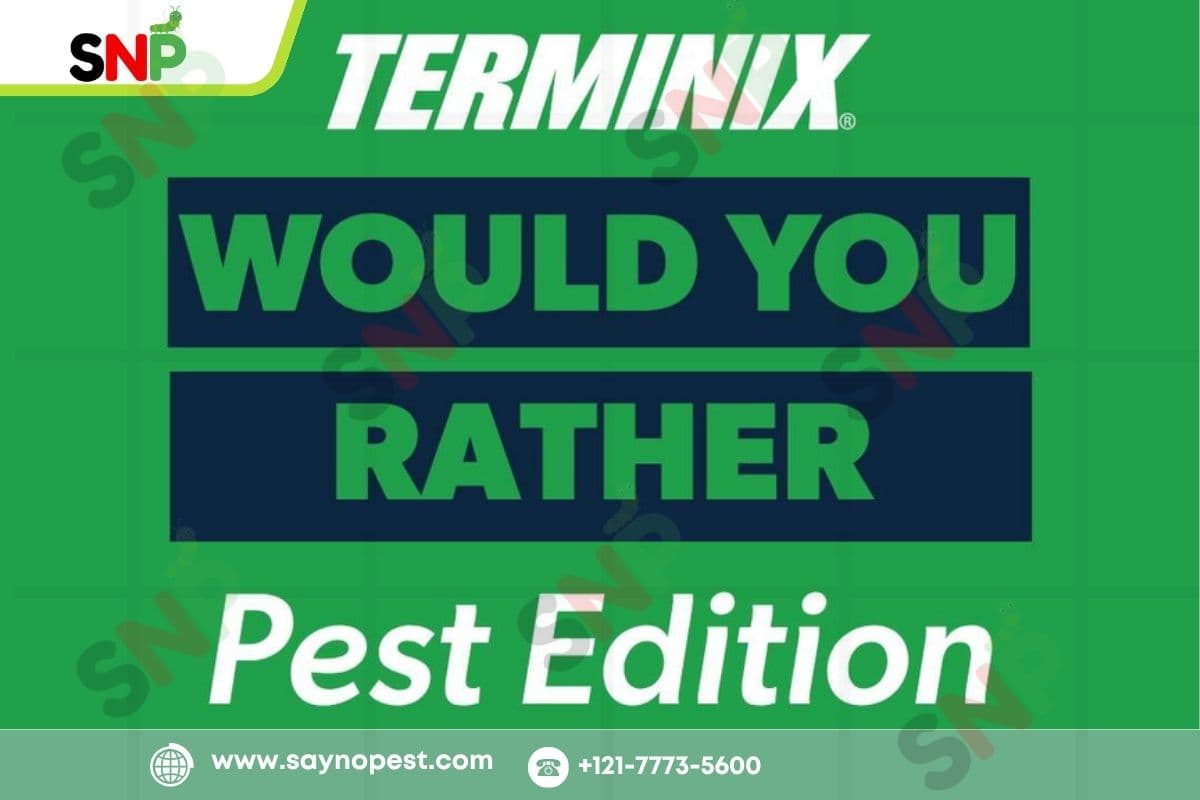 Top Signs You Need Terminix Pest Inspection