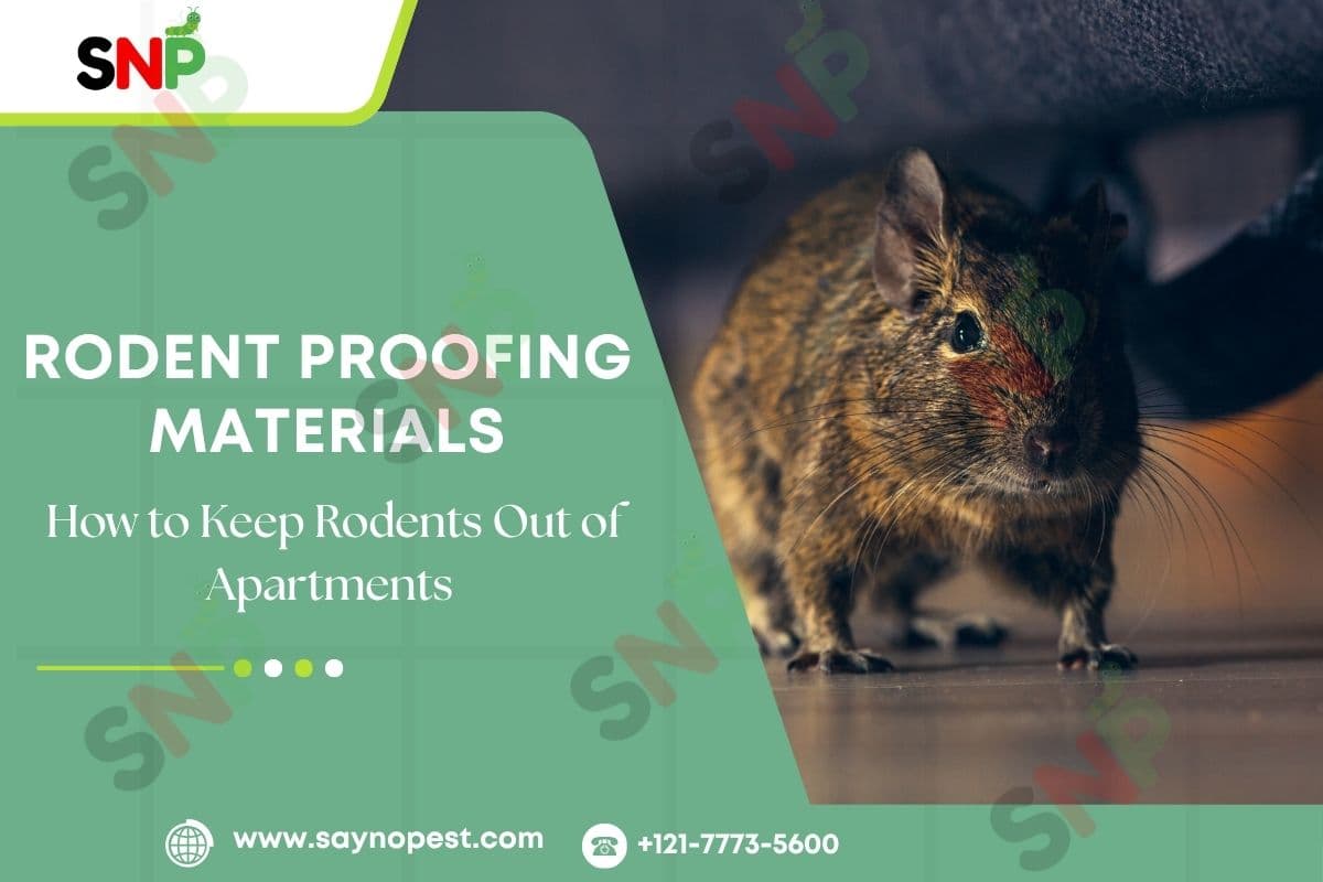 Winter Pests NY | Best Rodent Proofing Materials