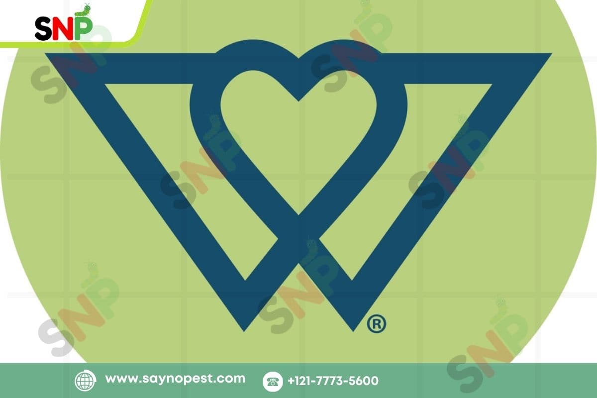 Why Homeowners Prefer Wondercide Natural Pest Control