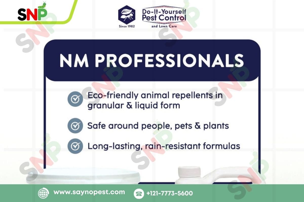 DIY Pest Control: What Works & What Doesn’t