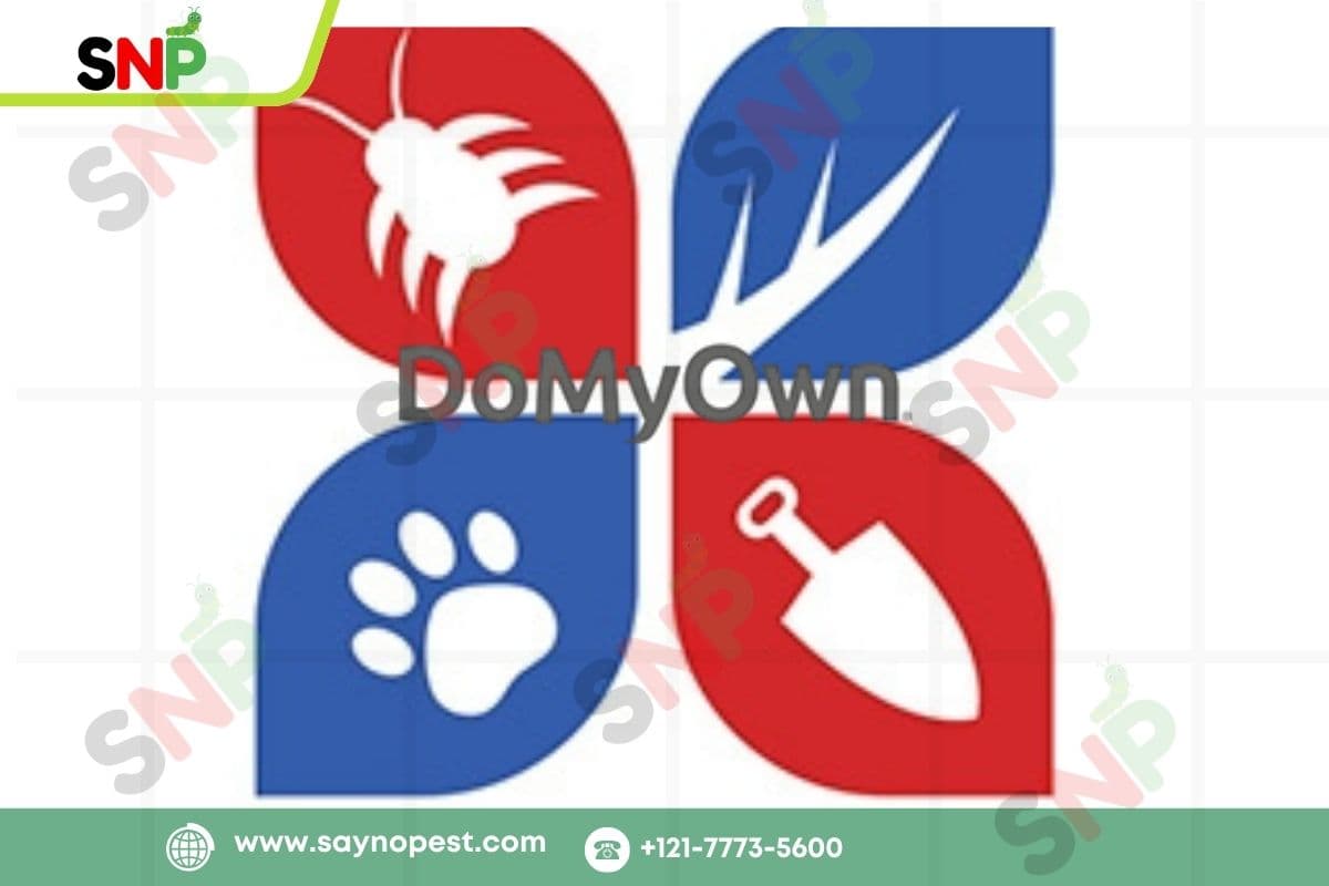Why Homeowners Choose DoMyOwn Pest Control