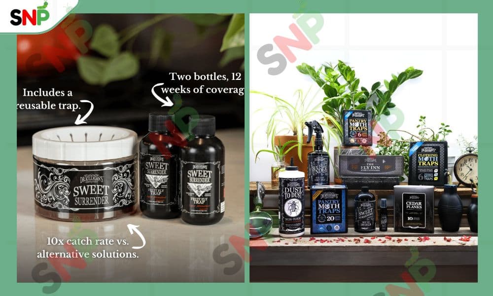 Dr. Killigan’s Eco-Friendly Solutions for a Cleaner Home