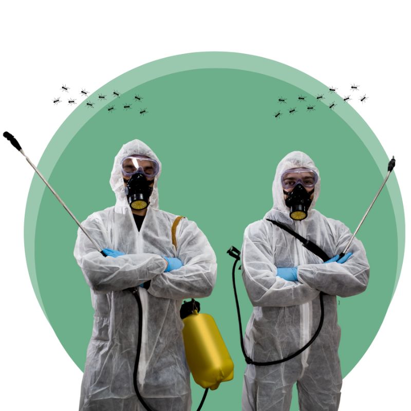 pest-control